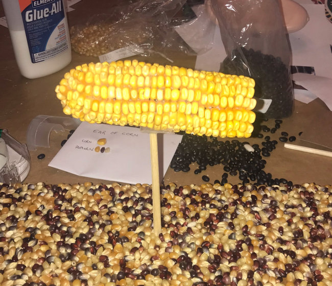 [Joe Klancher Ear of Corn image]
